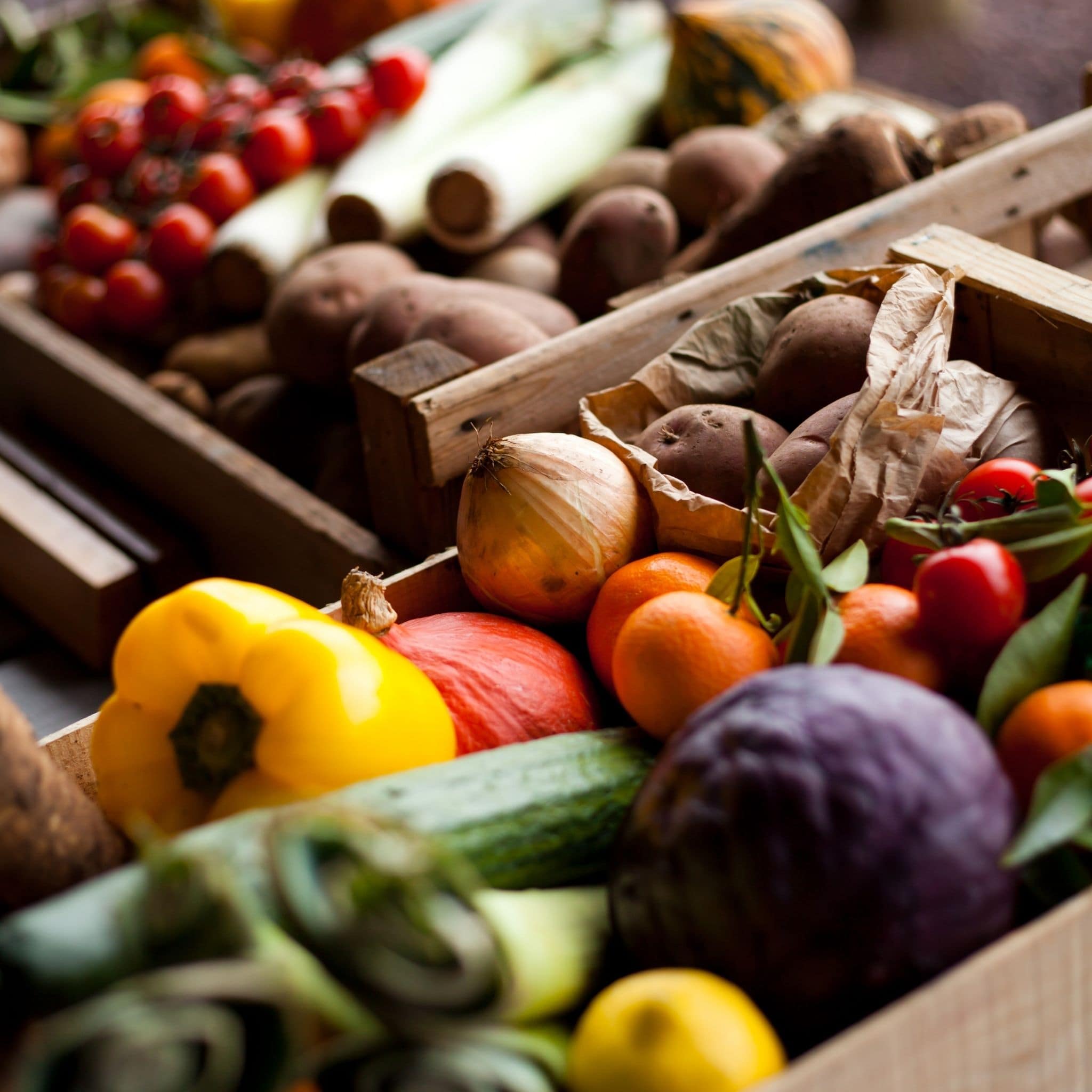 Basket of vegetables from seeds