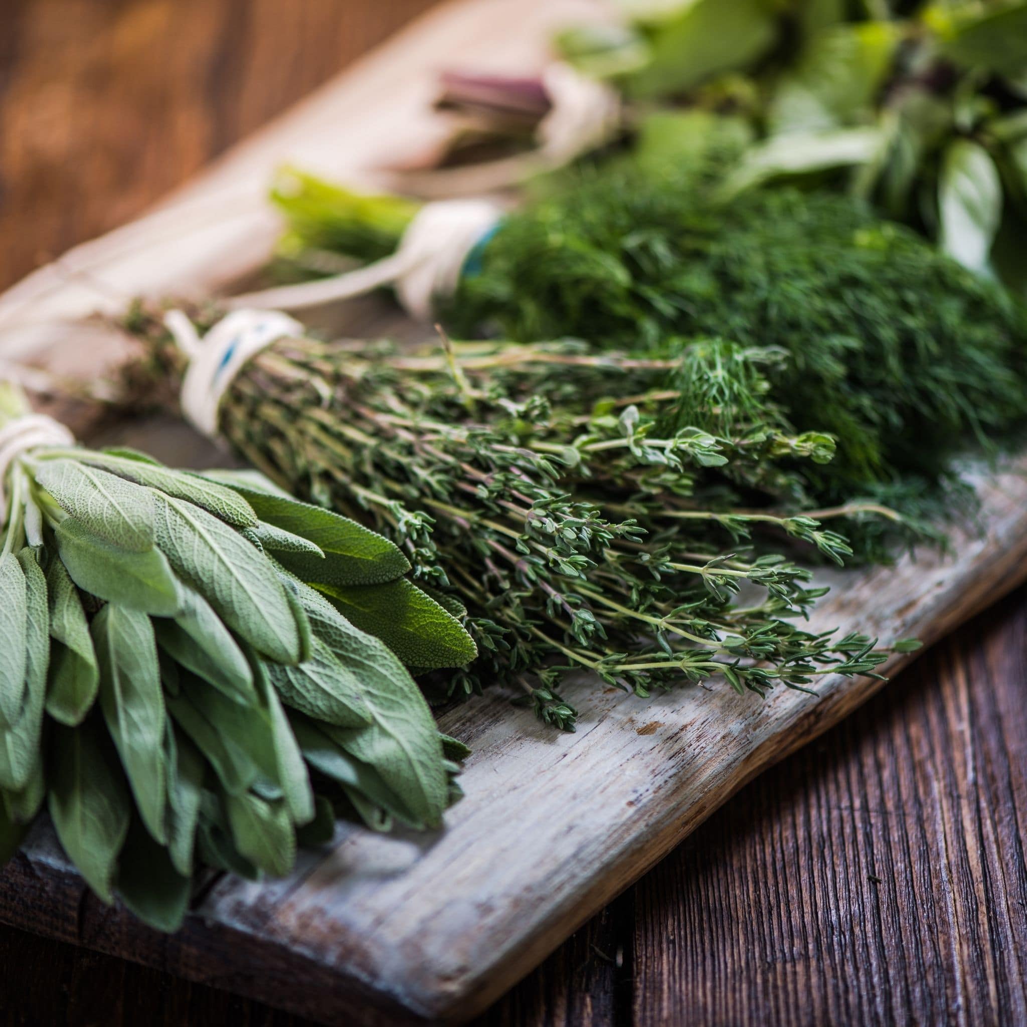 Herbs grown from seeds