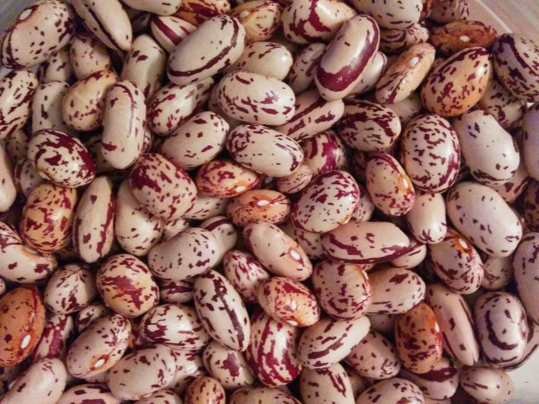 Beans - Borlotti