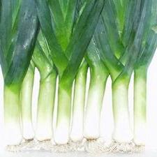 Onion - Leeks