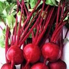 Beet - Green Top  Bunching