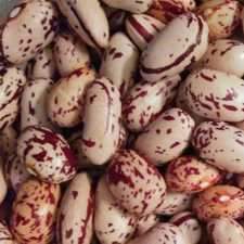 Beans - Borlotti