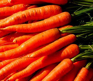 Carrots - Scarlet Nantes