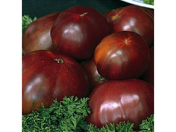 Tasmanian Chocolate Beefsteak Tomato