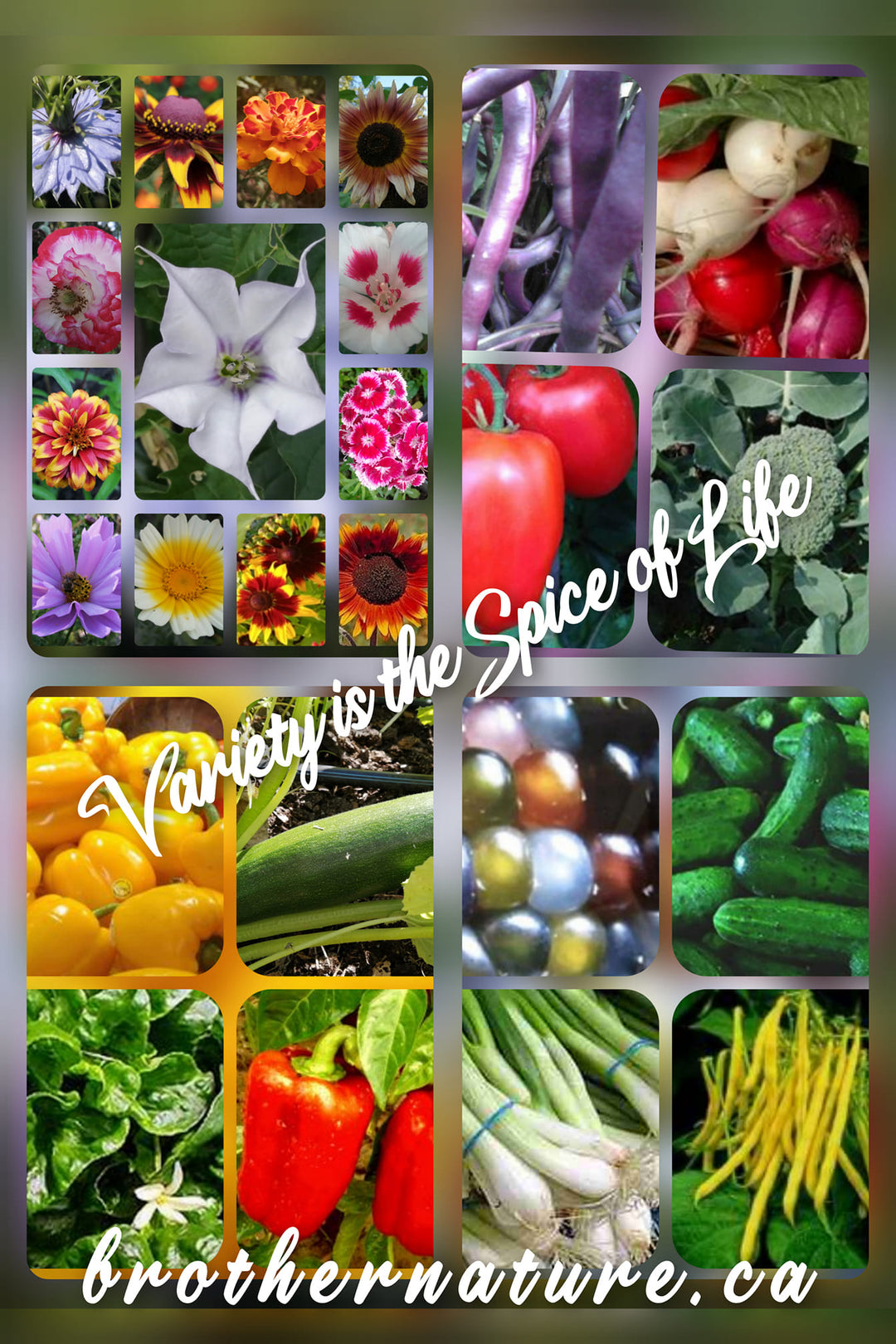 Brother Nature Heirloom Seeds Gift Certificate