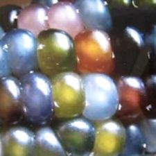 Corn - Glass Gem (Rare)