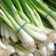 Green Onions - Evergreen