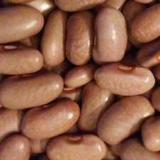 Kentucky Wonder Beans