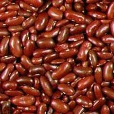 Beans - Kidney