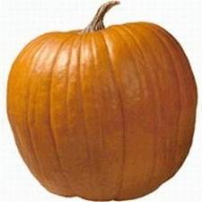 Pumpkin - Jack O Lantern